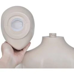 Mannequin De Vitrine Femme Tête Ronde -Rapid Soldes Boutique 19548215 4