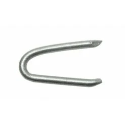 Crampillons Galnanisés 3.1 X 31 Boite De 1kg