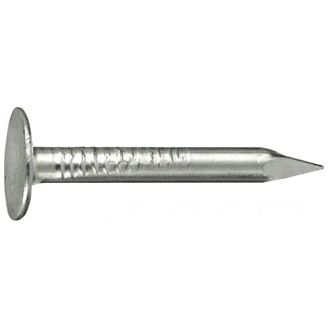 Pointes 2,5x 25 A 1,0kg 1 Pointes 2,5x 25 A 1,0kg