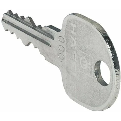 Clé Principale Passe Partout Pour Noyau Interchangeable Symo Boite Aux Lettres Porte Meuble Cylindre Serrure 1 Clé Principale Passe Partout Pour Noyau Interchangeable Symo Boite Aux Lettres Porte Meuble Cylindre Serrure