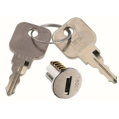 Barillet De Remplacement Pour Serrures LEHMANN Avec 2 Clés Métalliques Profil B1 Insert Cylindre Porte Boîte Aux Lettres Meuble Noyau Verrou Fermeture Sécurité, Série 18001 - 18100 1 Barillet De Remplacement Pour Serrures LEHMANN Avec 2 Clés Métalliques Profil B1 Insert Cylindre Porte Boîte Aux Lettres Meuble Noyau Verrou Fermeture Sécurité, Série 18001 - 18100