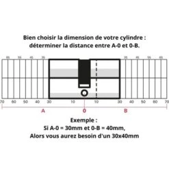 THIRARD - Lot Verrou Double Entrée Capital Cylindre 45mm + Cylindre HG 30x30mm, 6 Clés -Rapid Soldes Boutique 8904715 3