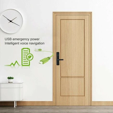 Serrure De Porte Biométrique Avec Empreinte Digitale, Serrure De Poignée De Porte électronique WiFi, Mot De Passe D'empreintes Digitales IC Card APP Clé à Distance Déverrouiller Le Levier De Porte Ava 5 Serrure De Porte Biométrique Avec Empreinte Digitale, Serrure De Poignée De Porte électronique WiFi, Mot De Passe D'empreintes Digitales IC Card APP Clé à Distance Déverrouiller Le Levier De Porte Ava – Image 5