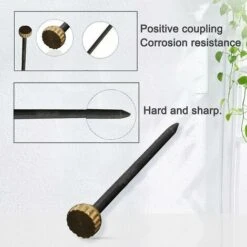 120 Pièces Clous Photo épingles à Tête En Laiton Crochets Photo Durcis Cintres 7 120 Pièces Clous Photo épingles à Tête En Laiton Crochets Photo Durcis Cintres -Rapid Soldes Boutique 95825548 4