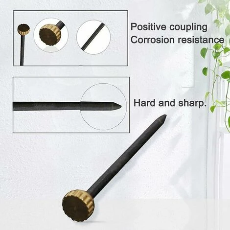 120 Pièces Clous Photo épingles à Tête En Laiton Crochets Photo Durcis Cintres 4 120 Pièces Clous Photo épingles à Tête En Laiton Crochets Photo Durcis Cintres – Image 4